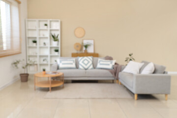 Interior of living room with comfortable sofa, coffee table, shelving unit and houseplant, blurred view