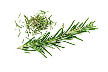 Obraz premium Fresh rosemary herb on a pure white surface, ideal for food and beauty photography