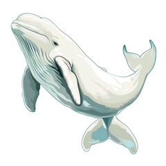 Beluga Whale Artsy animal fashion cartoon isolated whitebackground