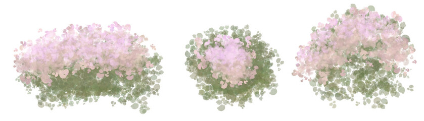 Pink flower, little garden