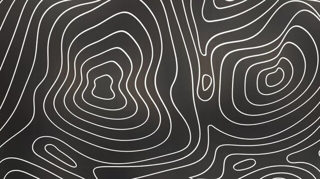 contours Geographic mountain topography vector illustration, Topographic pattern texture, Map on land vector terrain. Elevation graphic contour height lines, Topographic map, 4k animation background