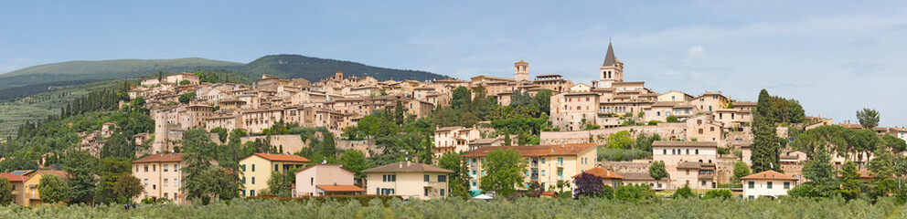 Spello - The old town panorama