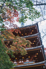 Historic temples and shrines that herald the arrival of autumn【Hase-dera Temple】