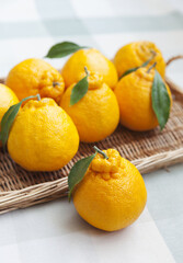 Close-up of a yellow Hallabong fruit with stalk and leaf on cloth floor against others on bamboo basket, South Korea
