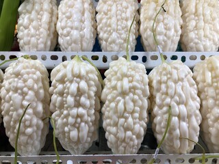 White Pearl Bitter Melon or Momordica charantia or bitter gourd photo