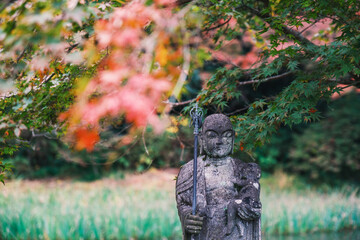 A temple where the surrounding area is painted in vibrant red autumn leaves【Chogakuji Temple】