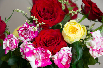 カラフルな薔薇