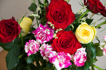 Naklejka premium カラフルな薔薇