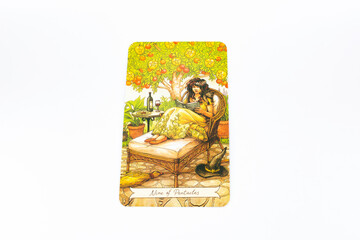 Tarot cards, Waite Rider tarot cards, the nine of pentacles card in the foreground on a background of available deck cards