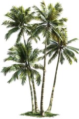 A peaceful scene with three palm trees standing tall on a small island against a white background