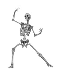 skeleton in a comic action pose