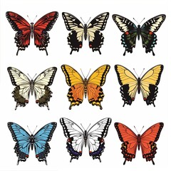 Fototapeta premium Colorful Butterfly Set Illustration with Detailed Wings â€” Perfect for Nature and Wildlife Graphics, Textile Patterns, and Stationery