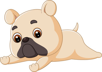 The cute baby dog rolls over playfully, tail wagging