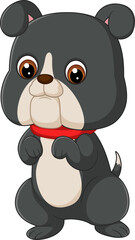 Cute baby bulldog stands wobbly, eyes wide with curiosity