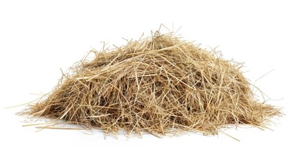A pile of hay sits on a clean white surface, perfect for decoration or photography props