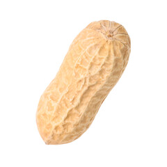 One fresh unpeeled peanut isolated on white