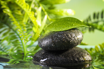 Wet spa stones and green leaf in water on light blue background