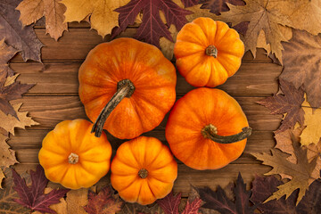 Group of five pumpkins of varying sizes arranged on a surface covered with autumn leaves. This...