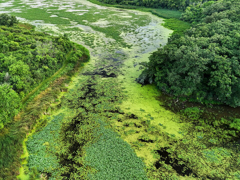 Prairie Patchwork: A Drone View of Orland Grove Nature Preserve