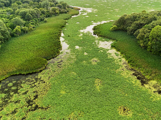 Prairie Patchwork: A Drone View of Orland Grove Nature Preserve