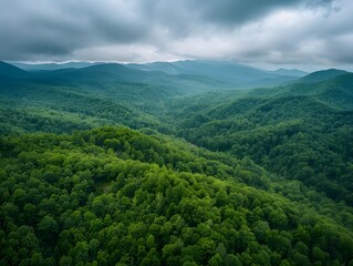 Aerial View of Lush Green Forest in the Smoky Mountains