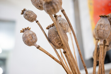 Dried poppy flowers. Bouquet of dried flowers in a glass vase on a wooden table