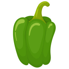 Green paprika in flat vector style. Vegetables in simple cartoon style, healthy eating, vegetarianism. Paprika isolated on white background.
