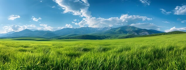 Green Grassland With Mountain Views