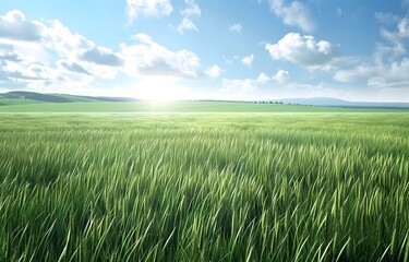 Fototapeta premium Beautiful Green Wheat Field Landscape
