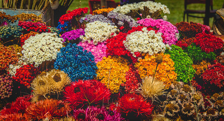 Colorful Flowers Bouquets