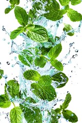 Fresh Green Mint Leaves Splashing in Water – Refreshing and Vibrant Close-Up