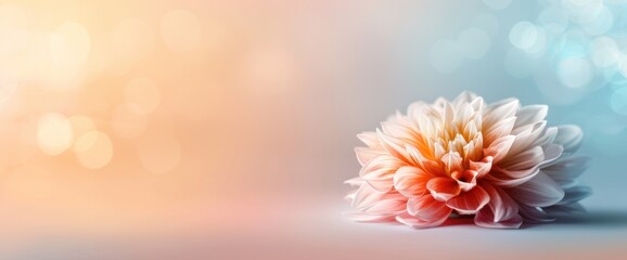 Fototapeta premium Colorful flower-inspired abstract background, natural lighting, generous copy space