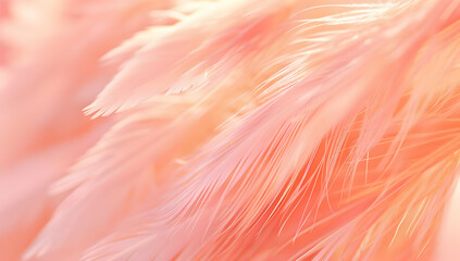 Close-up of soft, pink feathers creating a delicate and airy texture, perfect for backgrounds and design elements.