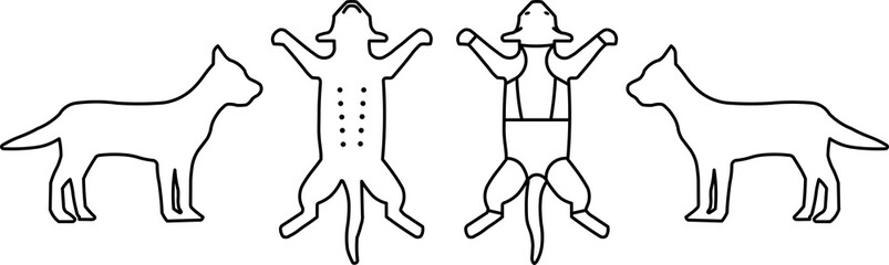 Illustration of the animal in right, left, ventral and dorsal positions for physical examination notes on the animal anamnesis form.