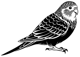Budgerigar silhouette vector illustration 