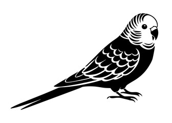 Budgerigar silhouette vector illustration 