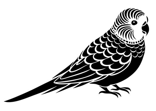 recommend clip art: Budgerigar silhouette vector illustration 