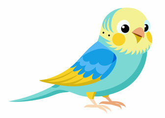 Fototapeta premium Budgerigar colorful vector illustration 