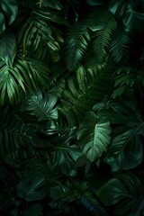 Dark Green Jungle Leaves Background