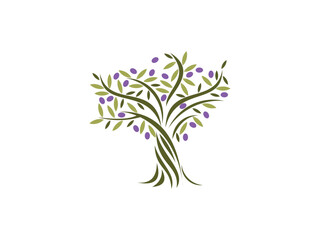 Olive tree. olive oil logo symbol. Symbol of culture and Mediterranean food