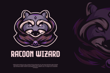 Racoon the wizard vector image