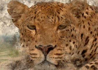 portrait of a leopard