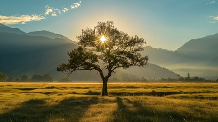 Obraz premium Radiant sun shining on a lone tree, with serene mountains in the background.