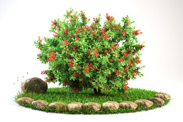 Illustration of plants and flowers in the garden. High quality 3D rendered images.