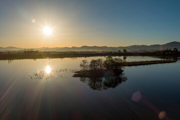 Wetland in Fog