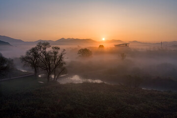 Wetland in Fog