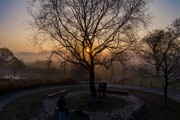 Fototapeta premium Wetland in Fog