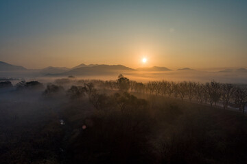 Wetland in Fog