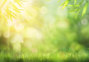 Obraz premium Springtime Grass Background With Sun Rays
