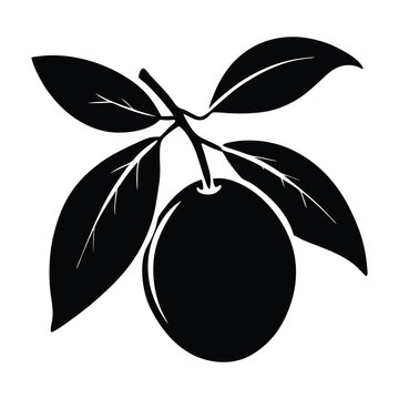 recommend clip art: kumquat fruit silhouette vector design